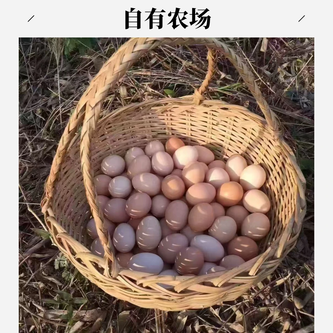 九珍鲜 自有农场林间散养草鸡蛋 顺丰次日达