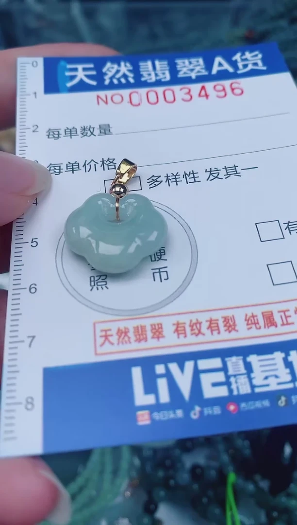 颈饰未镶嵌翡翠00003496