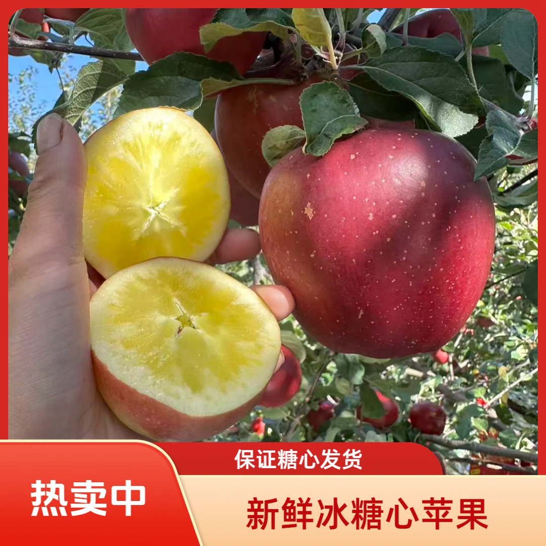 四川大凉山盐源丑苹果冰糖心苹果3/5/8斤新鲜冰糖心苹果脆甜多汁