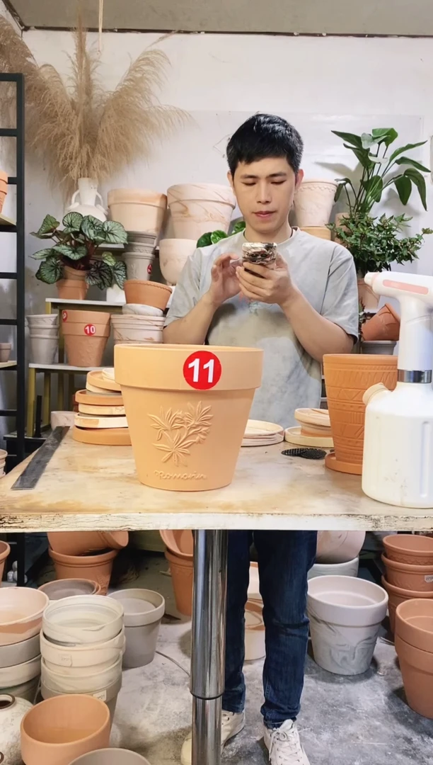 20*18红陶国际香草 1盆无托