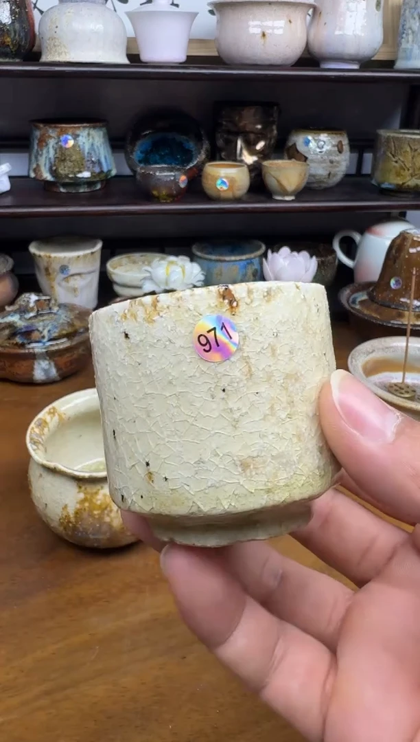 老柴叶烧不退不换443