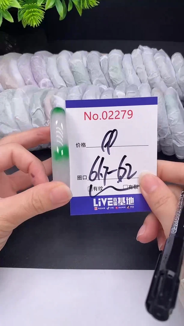 未镶嵌手镯翡翠2279