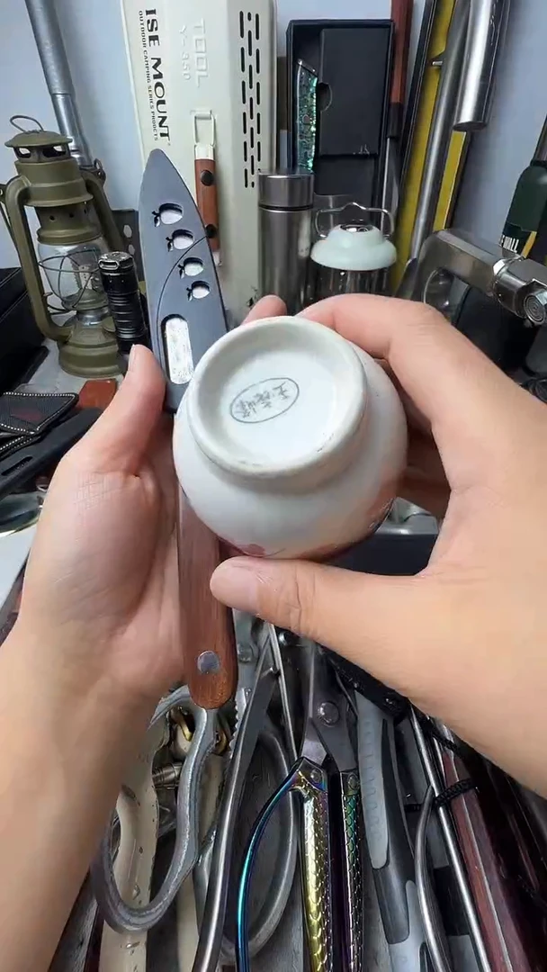 瓷片瓷片东京很热杂货正品保证