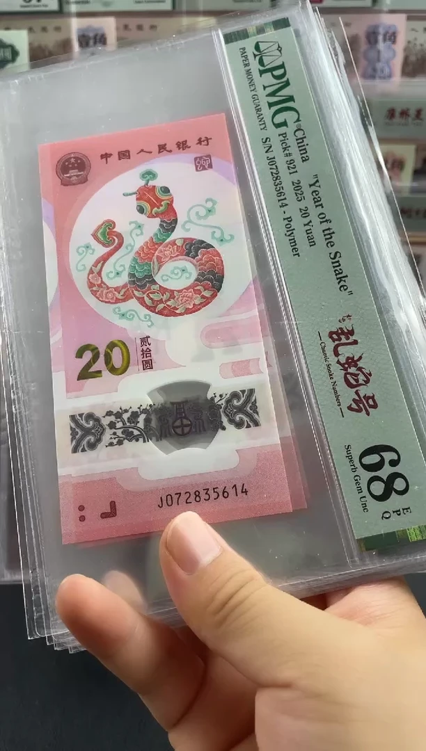 塑料蛇钞单张68分如意天龙号