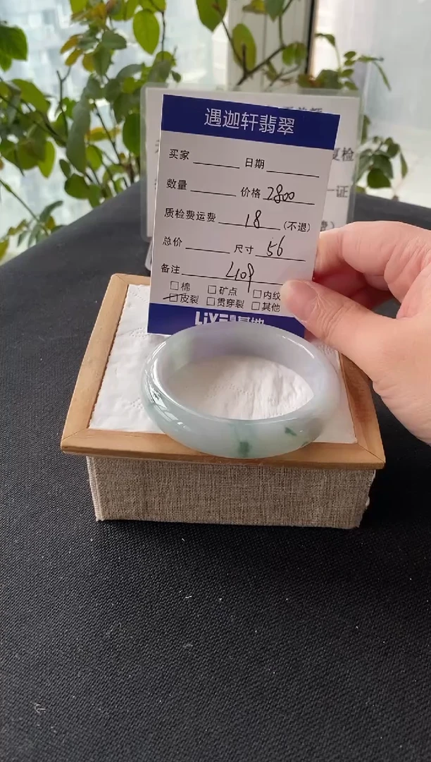 未镶嵌手镯翡翠56圈口 L109编码