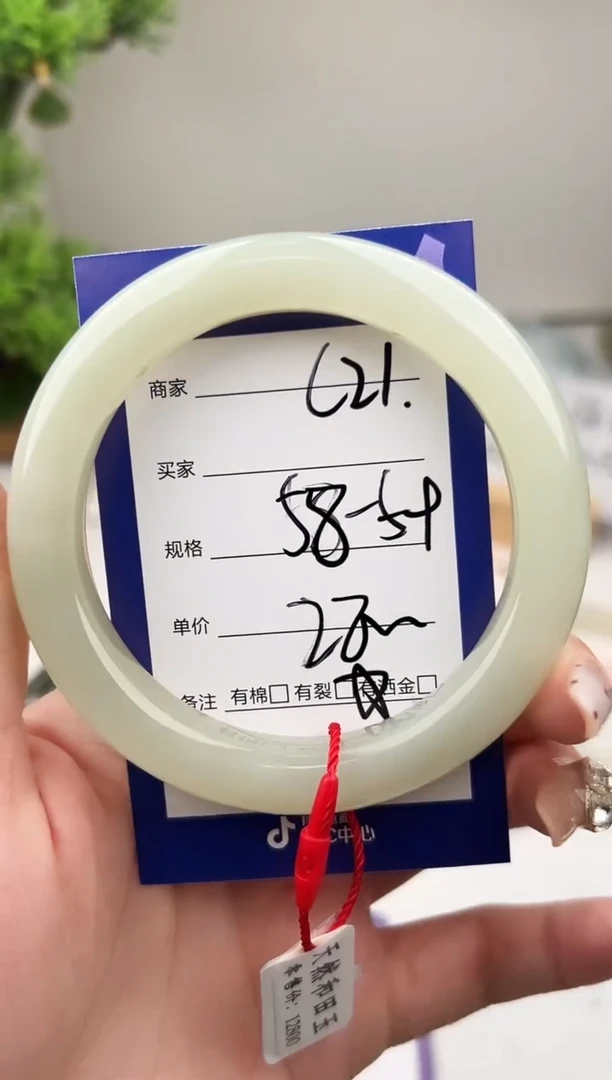 未镶嵌手镯和田玉微色差C21