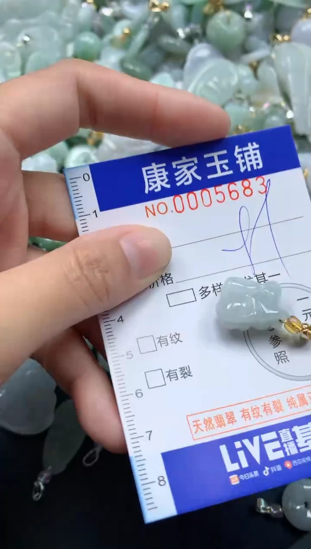 颈饰未镶嵌翡翠5683