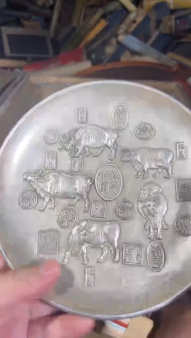 黄杨木11111111111111111111