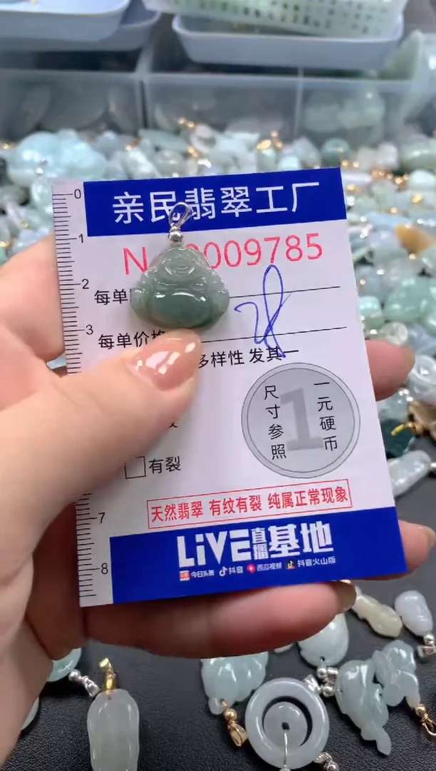 颈饰未镶嵌翡翠9785