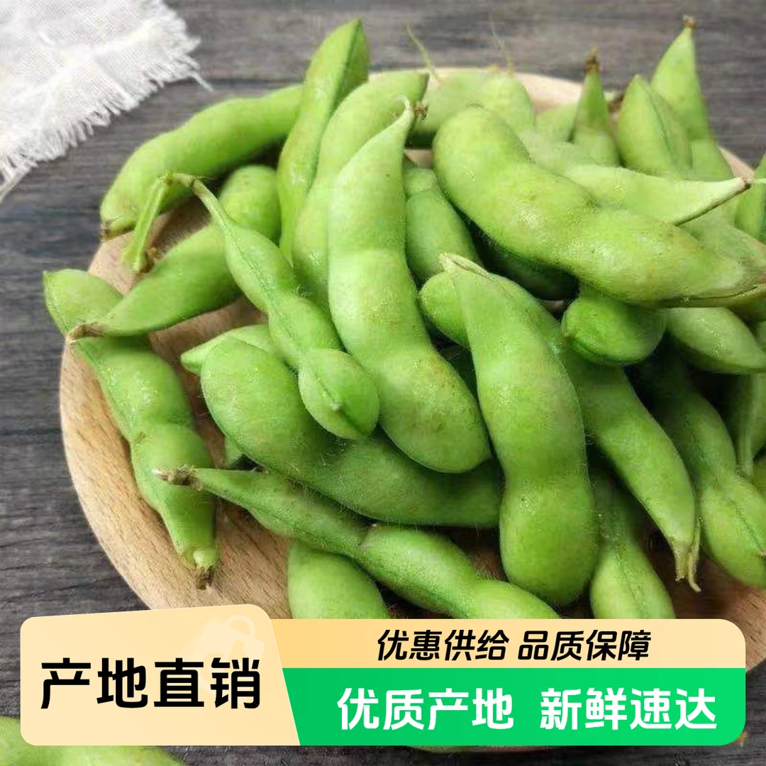 【众旺农场】毛豆 2/3斤 新鲜采摘顺丰包邮货上门毛豆同城送毛豆同城配毛豆
