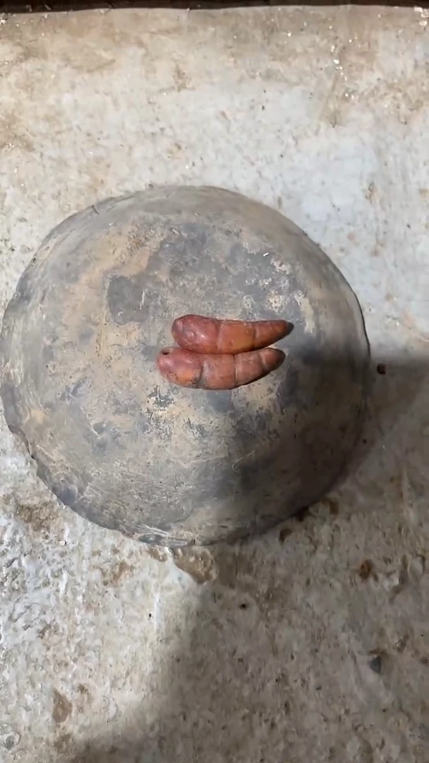 瓷片手工，手绘，陶瓷2