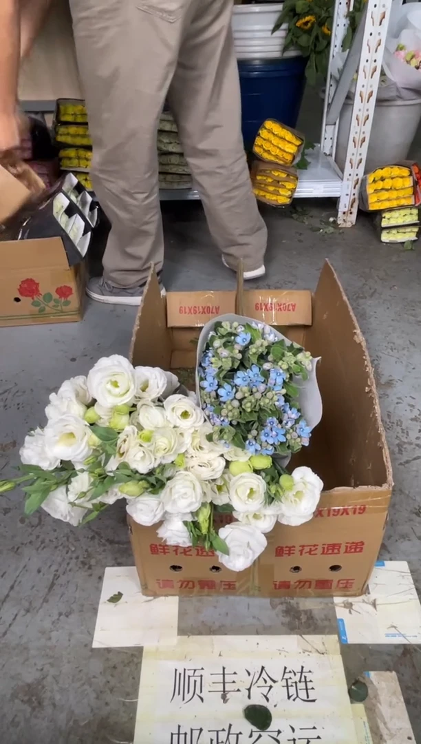 白桔梗800克2扎+蓝星花1