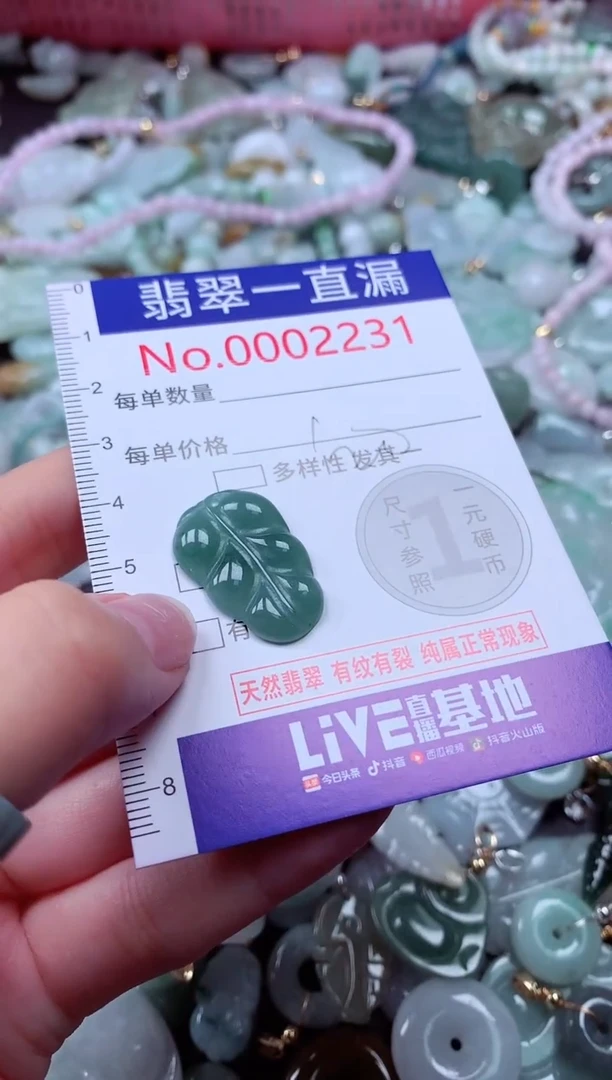 翡翠未镶嵌吊坠(不含链)2231