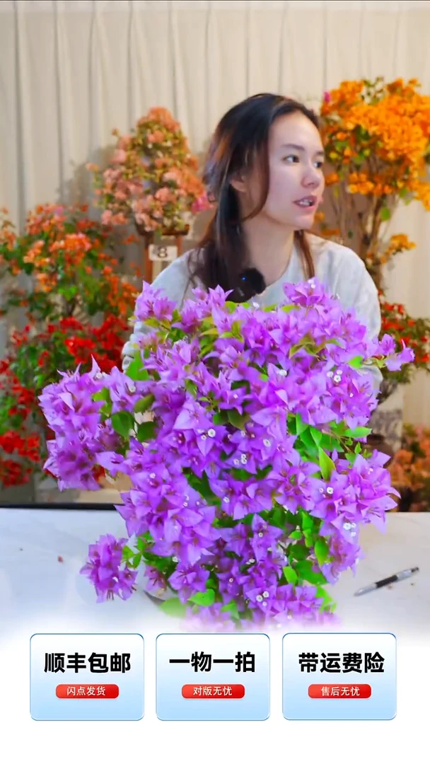 大部分开放少量花苞粉红豹