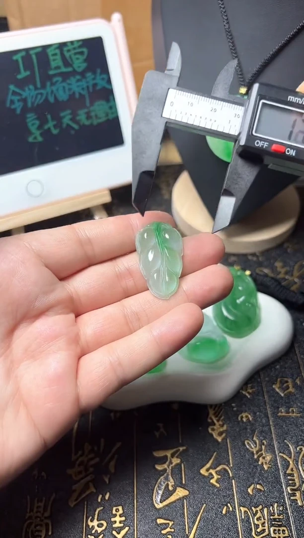 颈饰未镶嵌翡翠所见即所得，一图一物