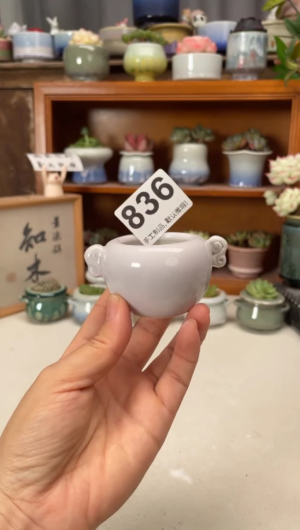 瓷片836知木小芳花盆