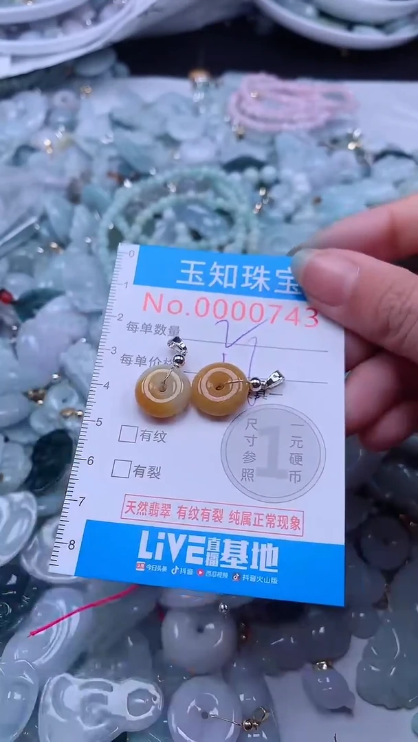 翡翠未镶嵌吊坠(不含链)743