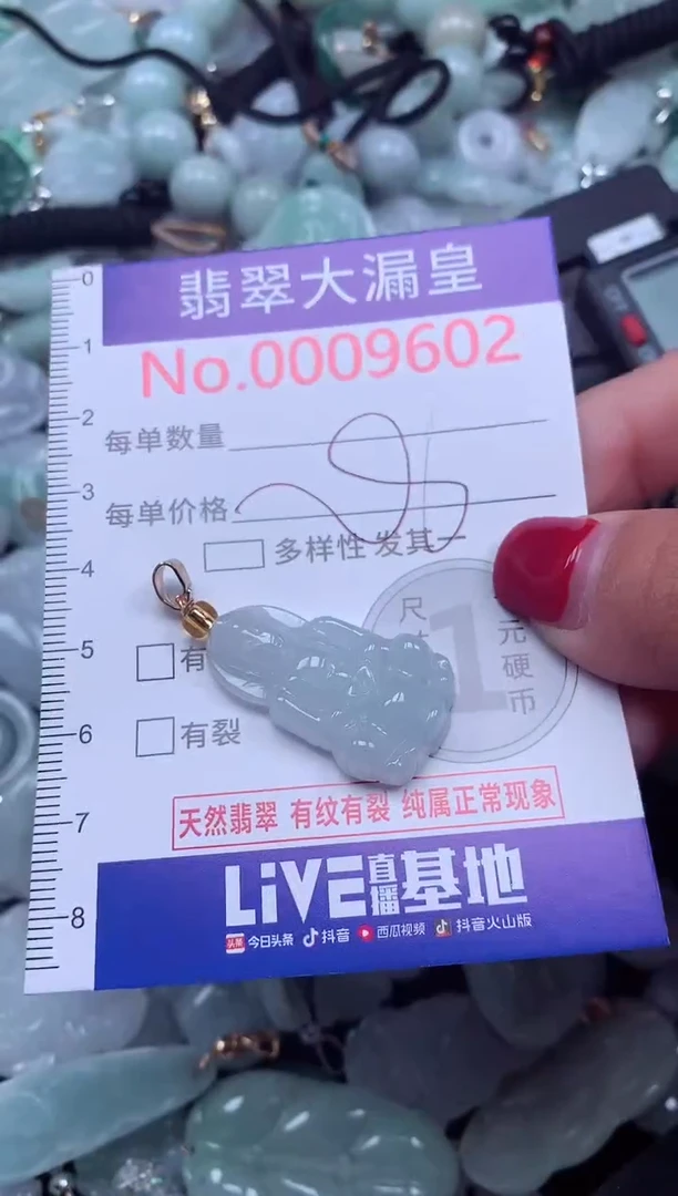 颈饰未镶嵌翡翠9602