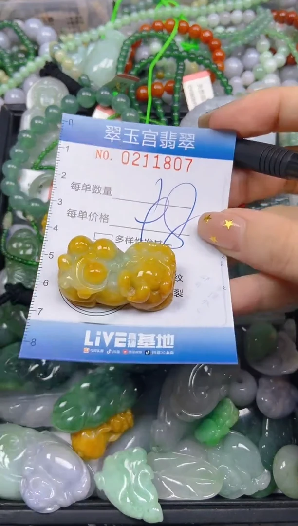 颈饰未镶嵌翡翠闪购C0211807