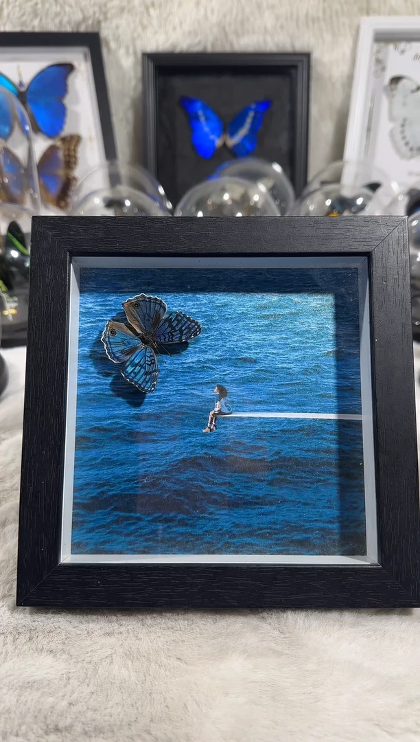 优雅眼蛱蝶艺术款