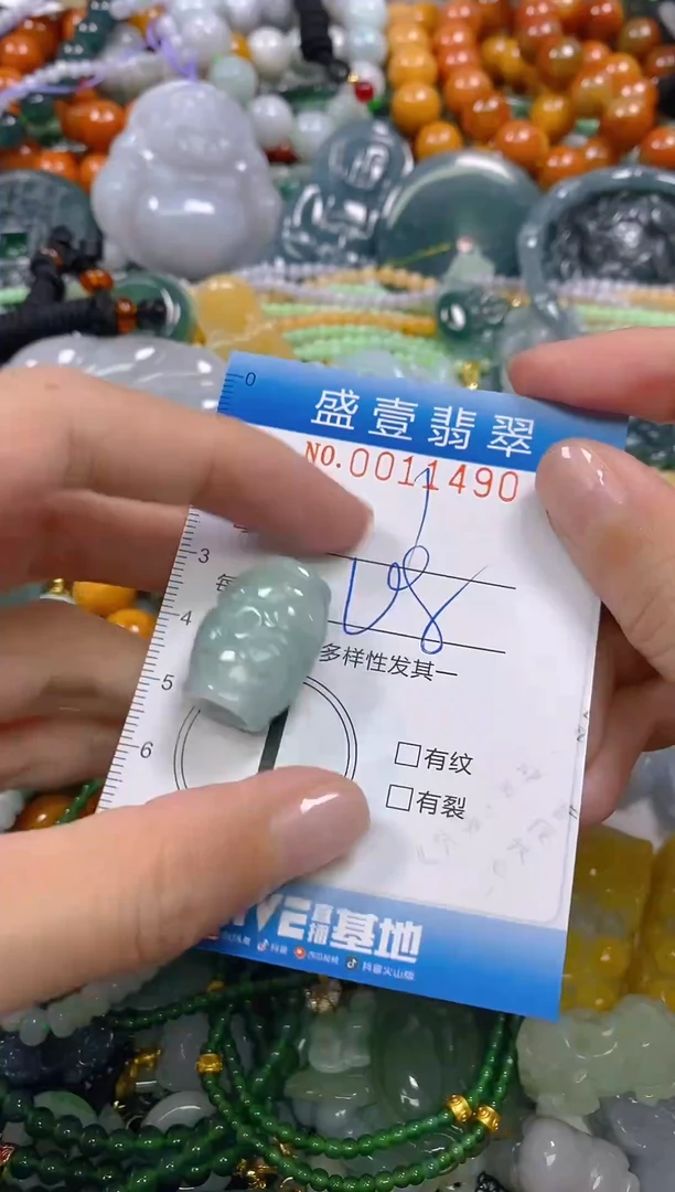 颈饰未镶嵌翡翠闪购0011490