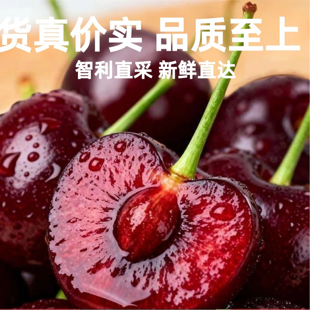 【次日达】Y2桑提娜海运3JD/4JD5斤原箱智利车厘子（内附果径卡）硬！脆！甜！桑提娜樱桃智利共和国