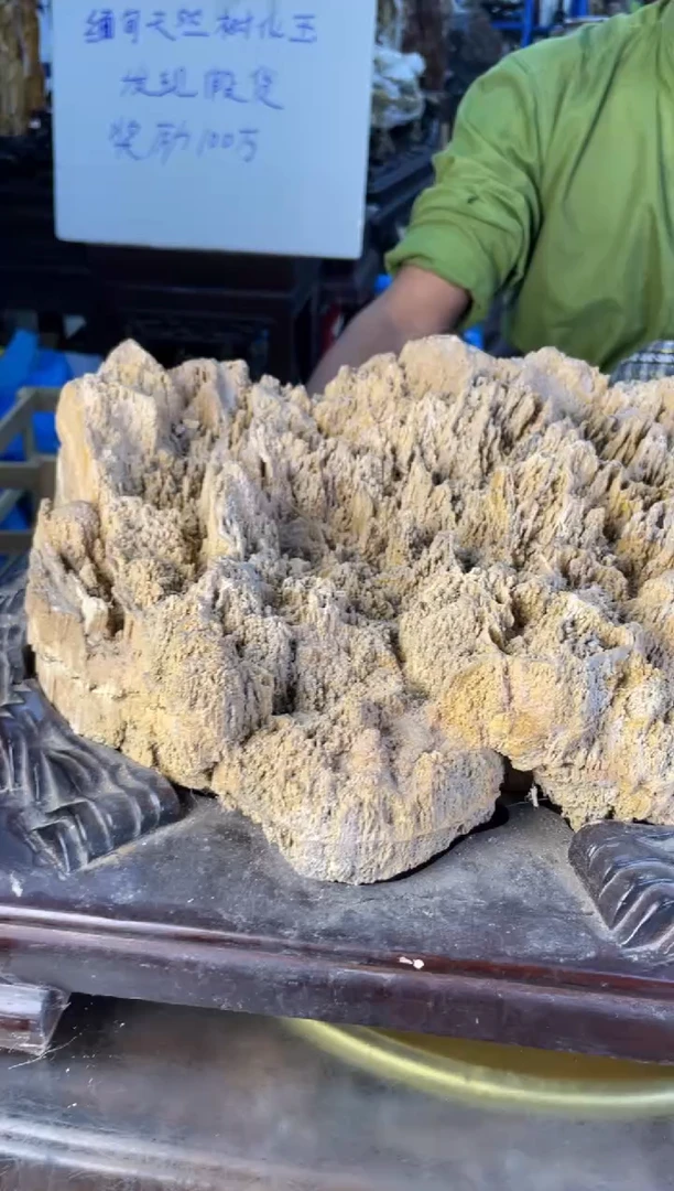 未镶嵌摆件硅化玉74