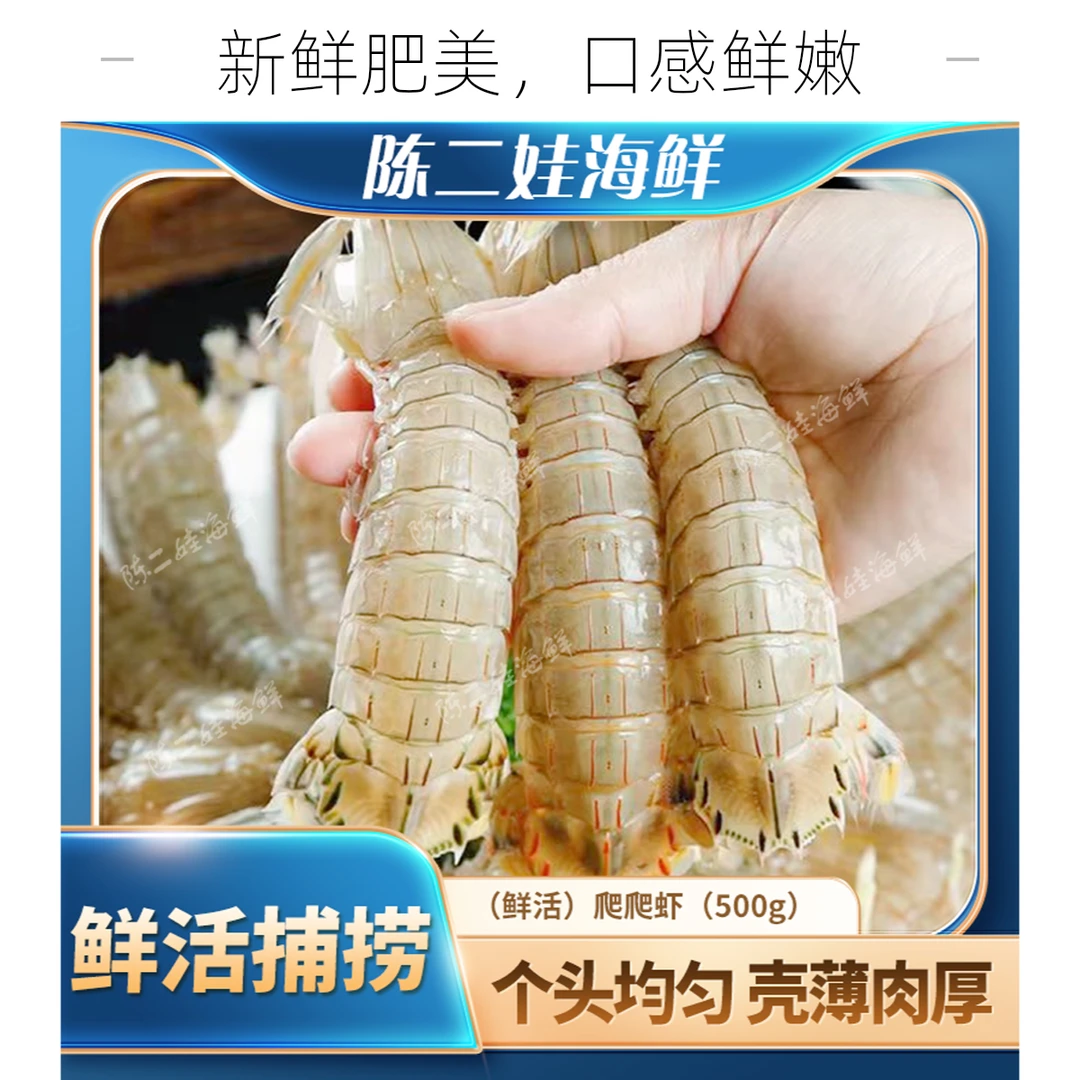 （鲜活）爬爬虾（500g）