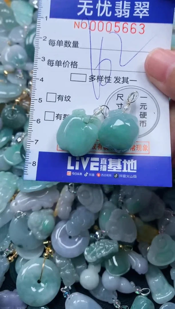 颈饰未镶嵌翡翠5663