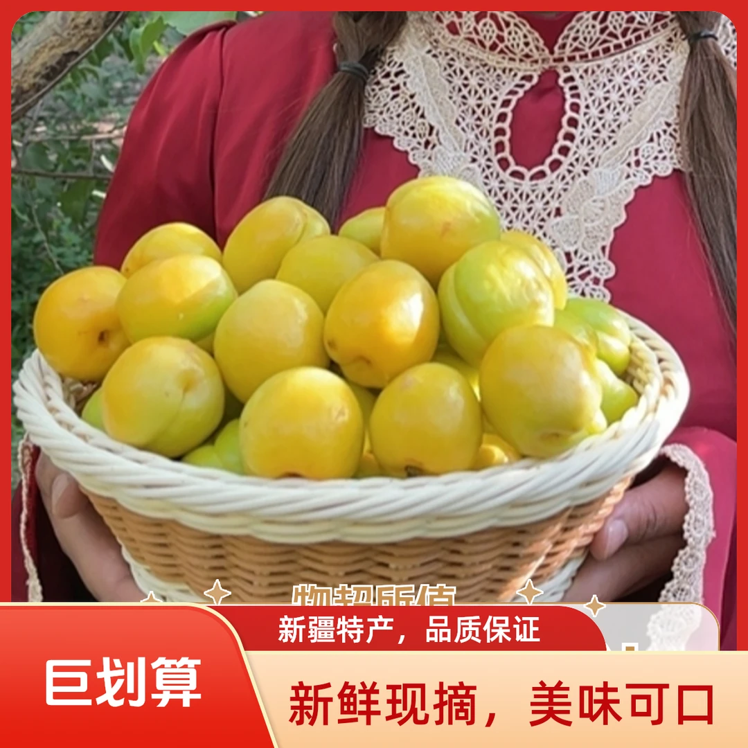 新疆杏子包邮现摘现发采摘新疆应季水果