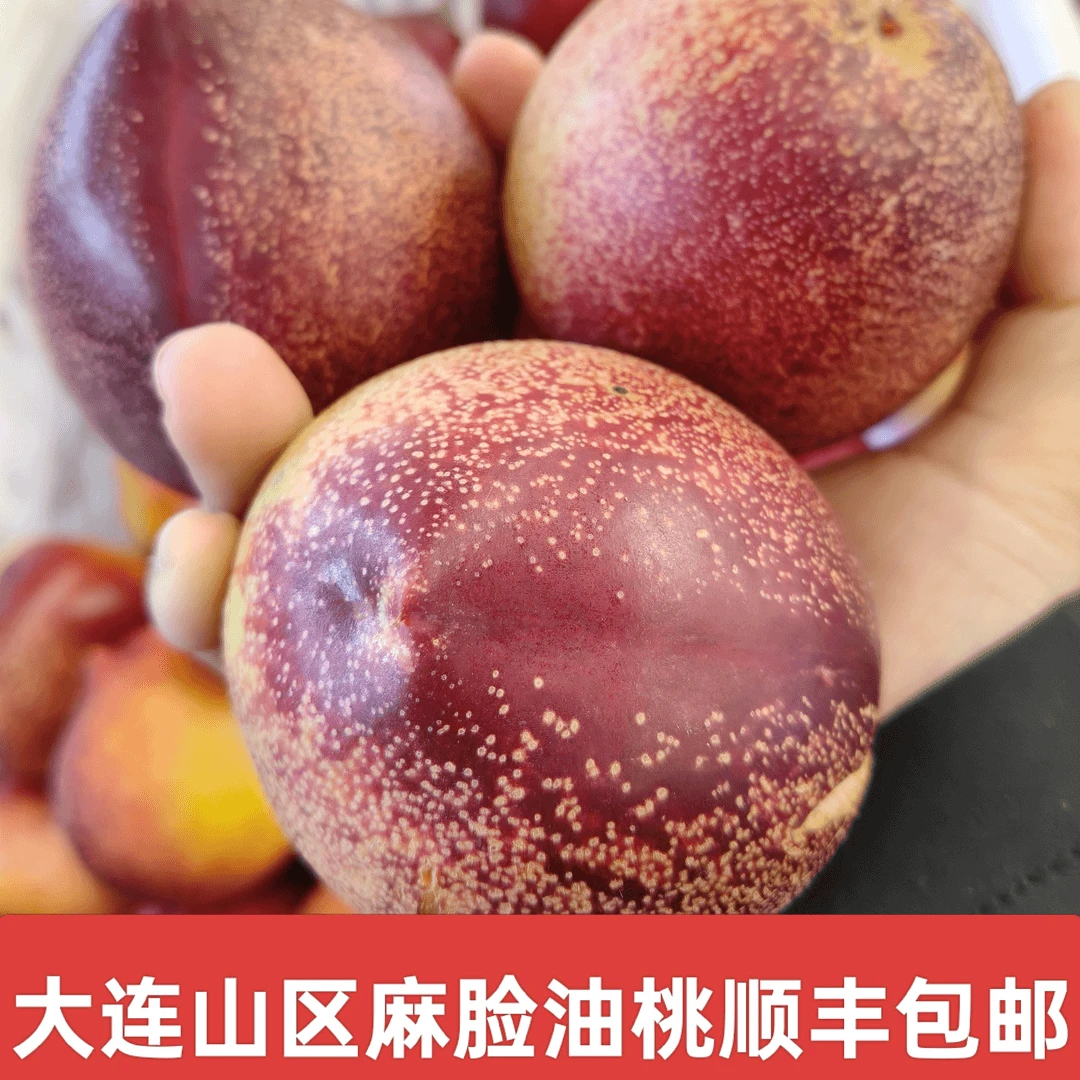 山区麻脸油桃单果规格100g-260当季新鲜水果桃子桃子同城送辽宁省