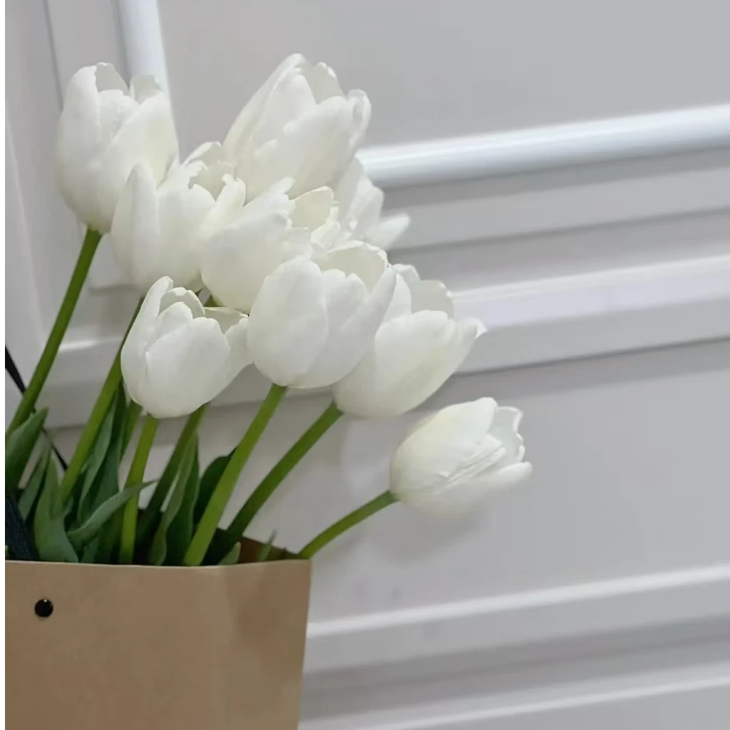 （白马王子）郁金香东北鲜花原产地直发 鲜花鲜切花顺丰包邮