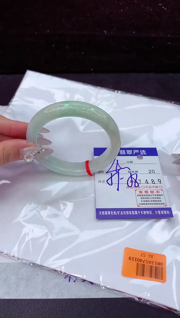 未镶嵌手镯翡翠1