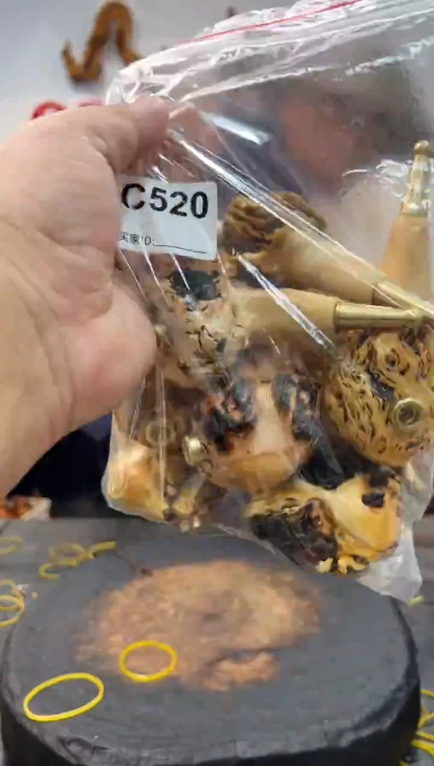 黑果木其他黑果木650