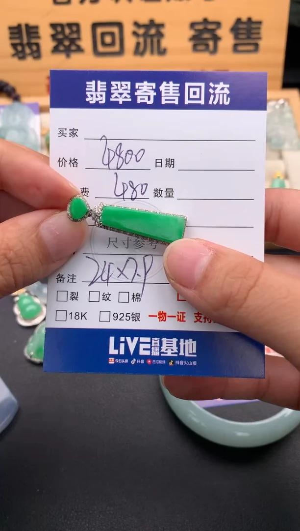 翡翠18K金镶嵌颈饰10142624