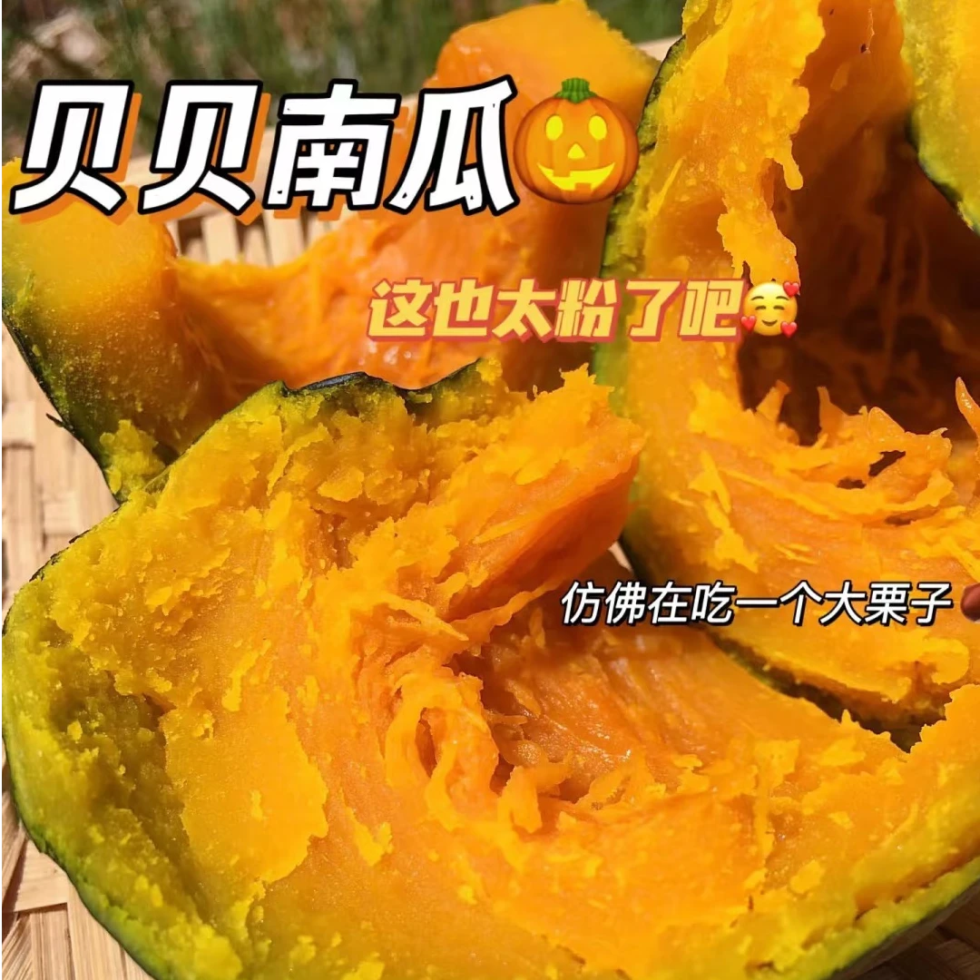 广西真贝贝南瓜5斤栗子味软糯香甜孕妈宝妈儿童代餐粗粮
