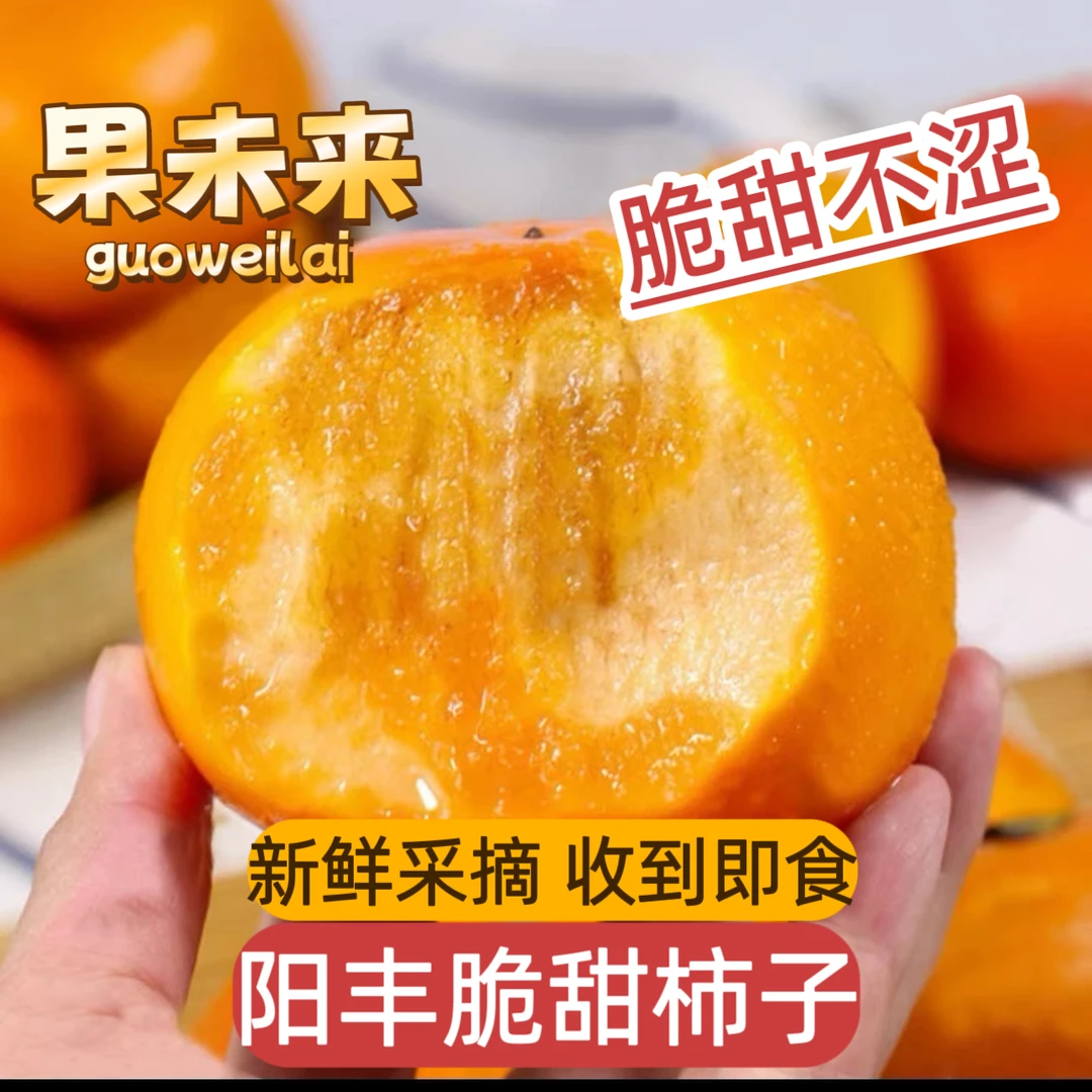 【果未来】正宗阳丰巧克力脆柿子纯甜不涩口新鲜采摘应季鲜果