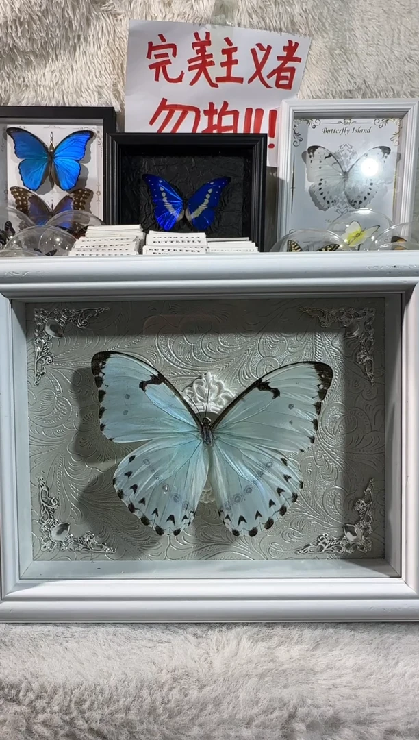 木横板肯特白8寸相框