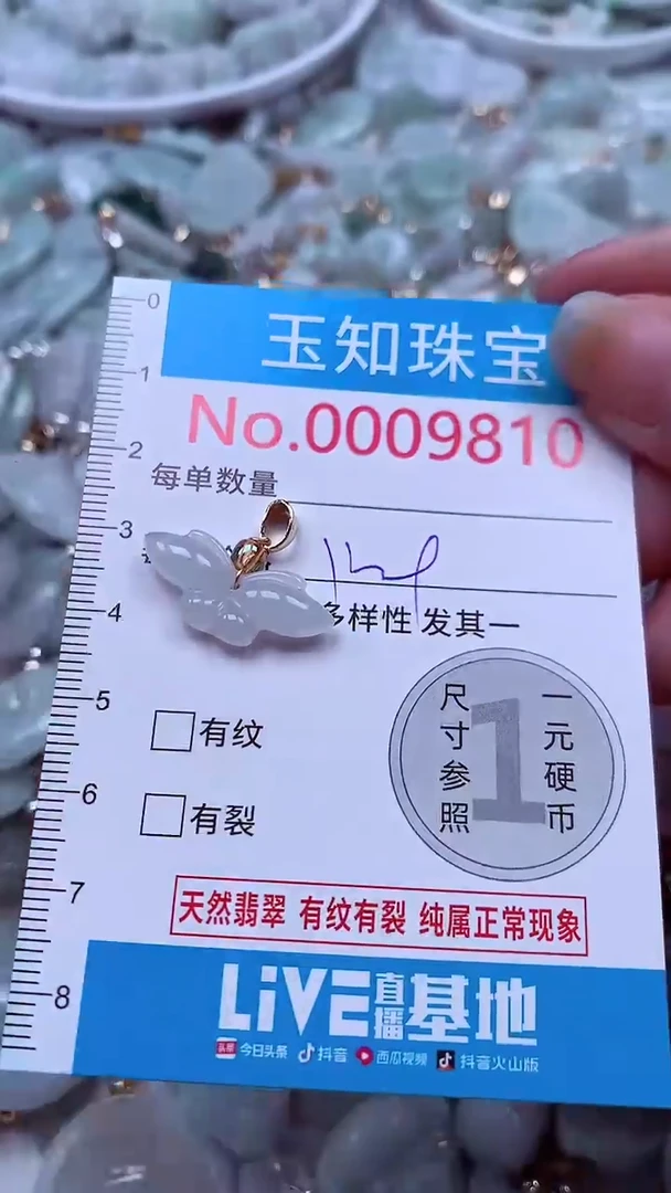 吊坠(不含链)未镶嵌翡翠9810