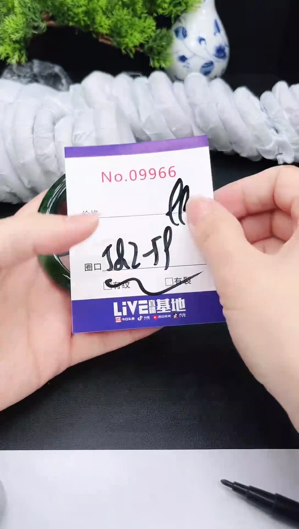 未镶嵌手镯翡翠9966
