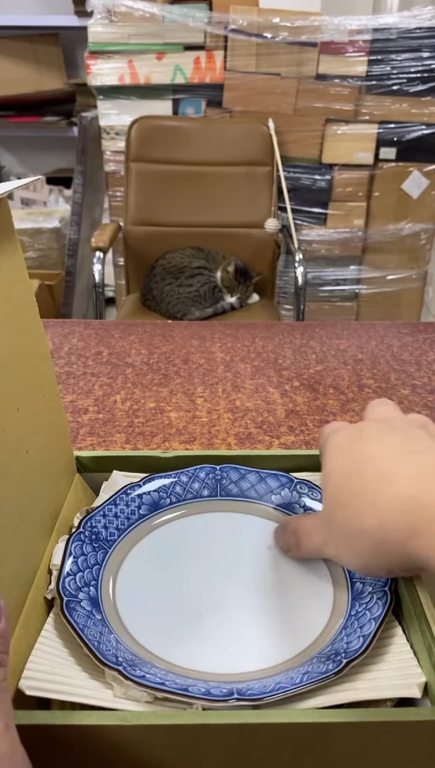 瓷片633小林轩欢迎您