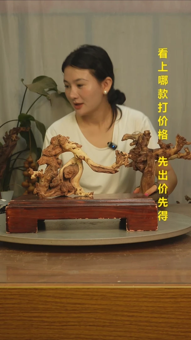 木石*云南红河金丝红木718