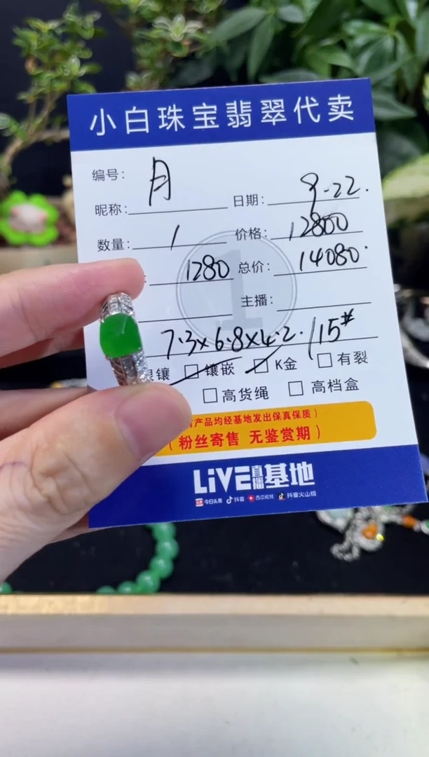 套链18K金镶嵌翡翠月**尘戒指