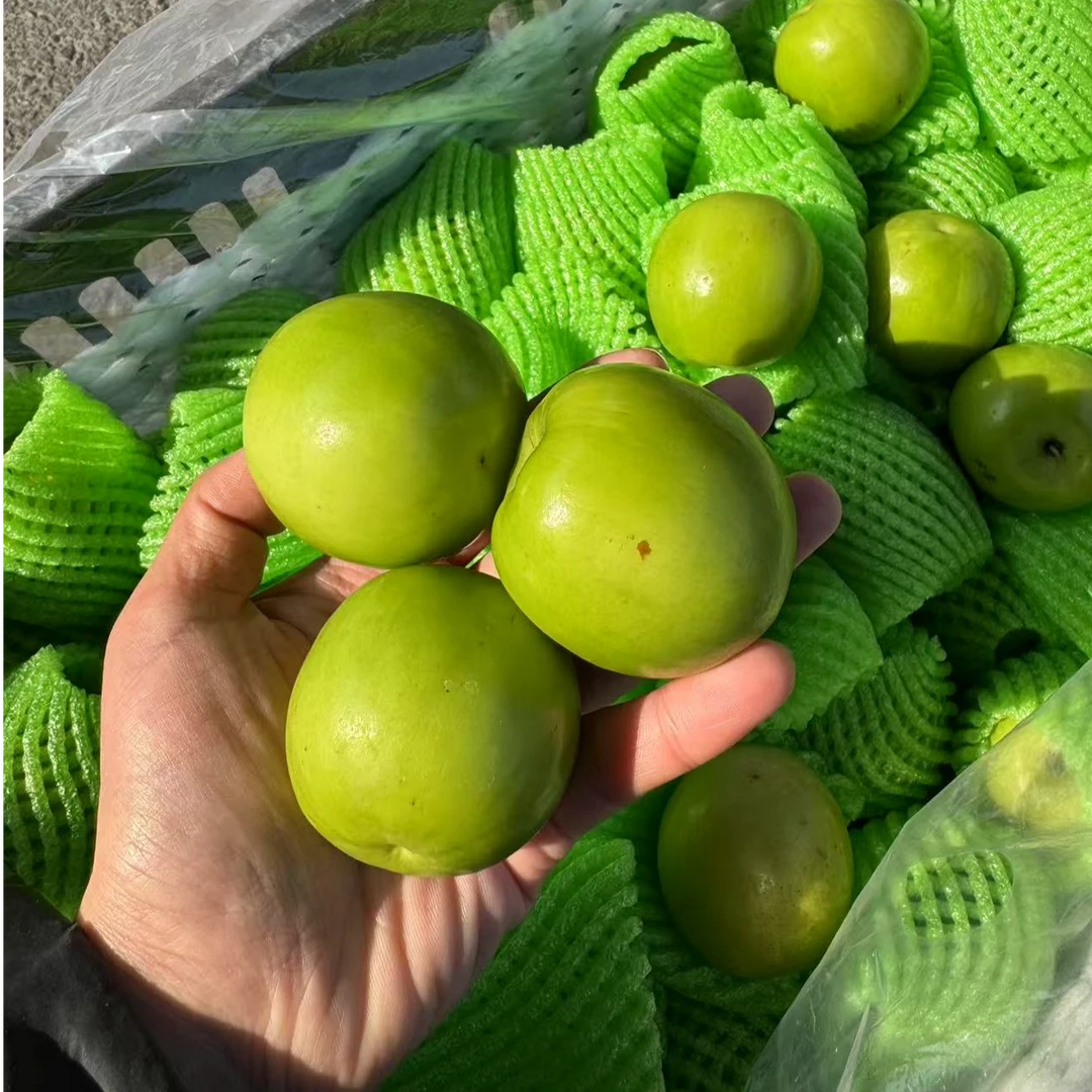 云南苹果枣 牛奶青枣脆甜多汁 带箱4斤