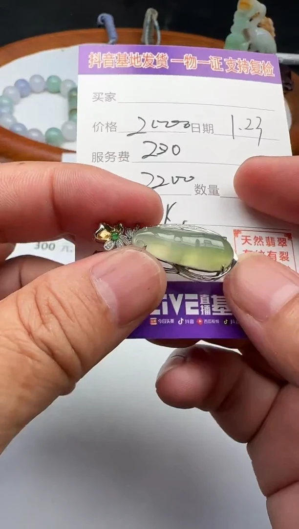 【闪购商品】翡翠颈饰18K金镶嵌111111111111