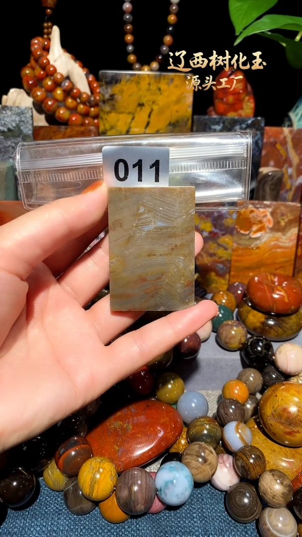 未镶嵌-硅化玉天然北票硅化玉吊坠