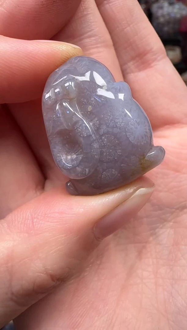 颈饰未镶嵌硅化珊瑚（珊瑚玉）377