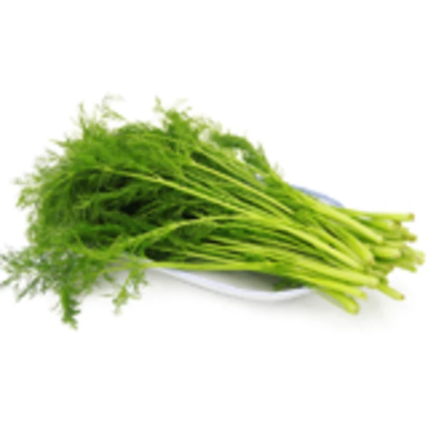 精品茴香100±15g