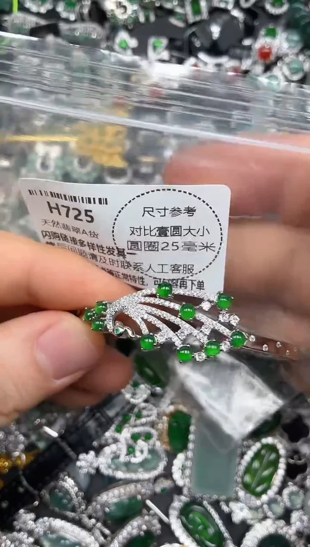 颈饰未镶嵌翡翠H725手镯