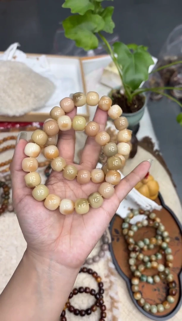 菩提根/象牙果手串14水磨桂花孔一般（511）